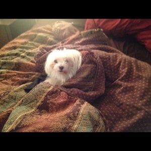 Meet your Posher, Amy